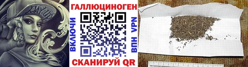 Псилоцибиновые грибы мухоморы  блэк спрут ONION  Елизово 